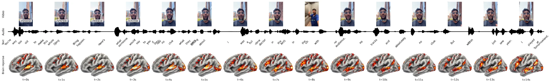 Ad MRI scan from 0 to 14 seconds showing video frames, audio waveform, spoken words and modeled brain response